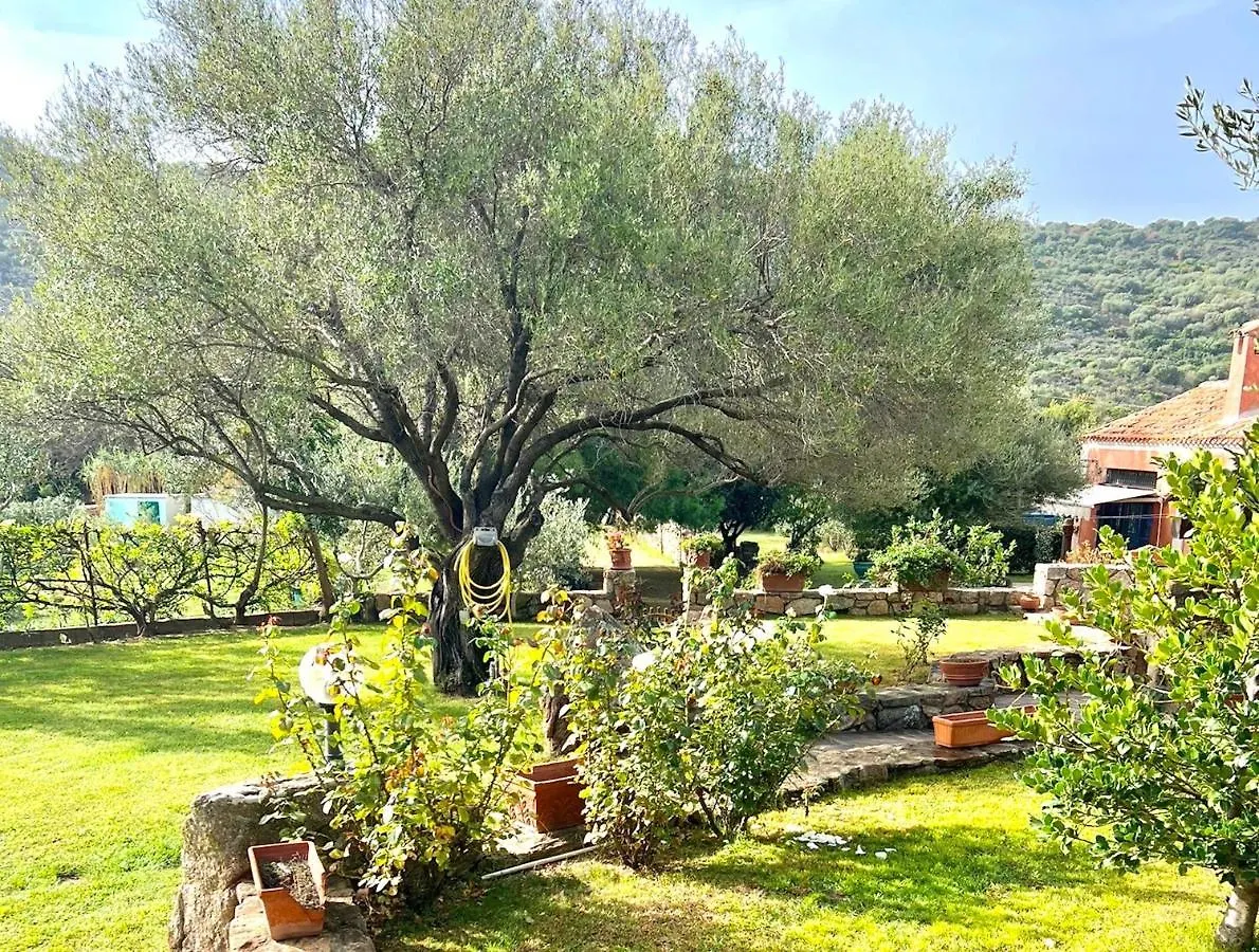 Iss Travel, Li Funnesi House - With Private Garden, Air-Condition And Two Bathrooms San Teodoro  Villa